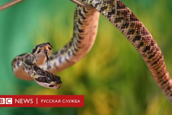 Ссылки на кракен com