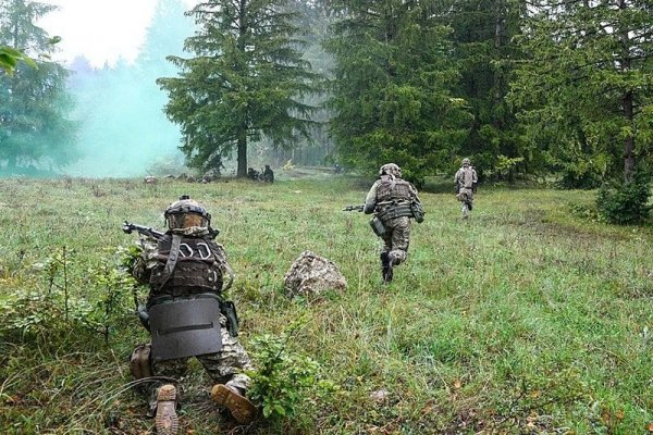 Рабочая ссылка на кракен в торе