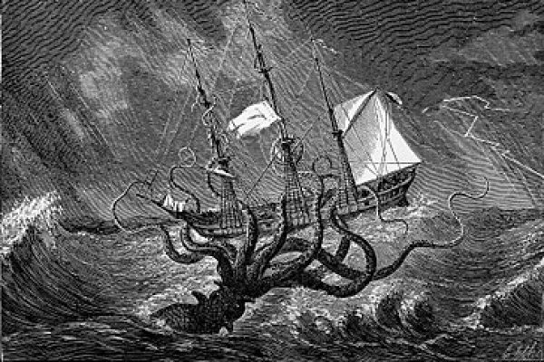 Kraken 19at