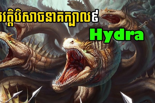 Kraken официальная ссылка