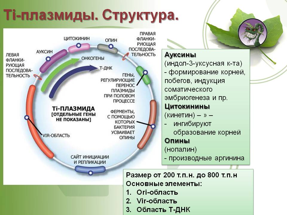 Кракен что это за маркетплейс
