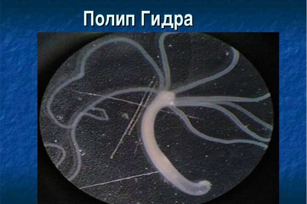 Как войти в кракен через тор