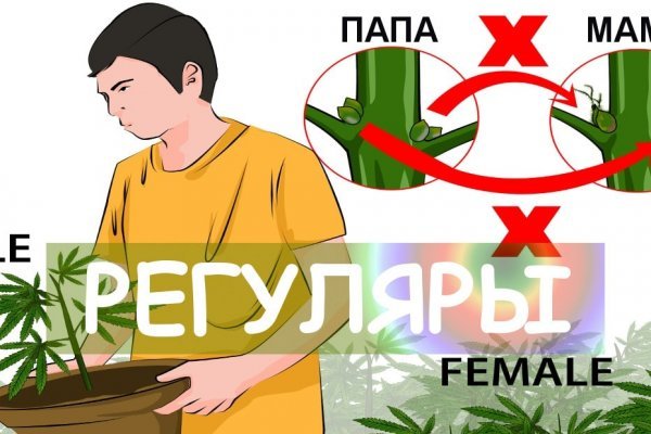 Как найти настоящую кракен даркнет ссылку