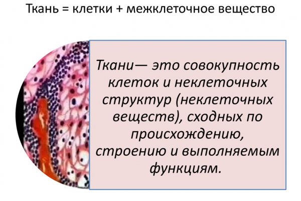 Dark net официальный сайт