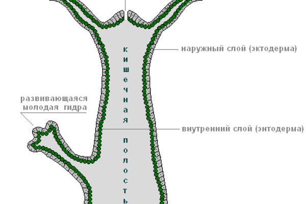 Сайты где купить наркотики